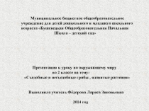 Презентация по окружающему миру Съедобные и несъедобные грибы и ядовитые растения