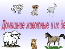 Домашние животные и их детеныши