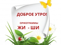 Презентация по русскому языку. Орфограммы жи-ши. Урок -актуализации знаний.
