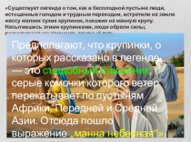 Лишайники