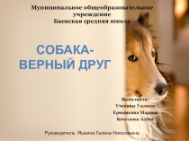 Презентация Собака - верный друг. Исследовательская работа.