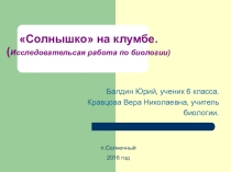 Презентация по биологии на тему Бархатцы 6 класс