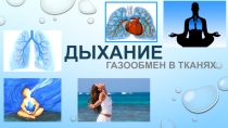 Дыхание, как химический процесс.