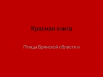 Презентация Красная книга Брянской области. птицы