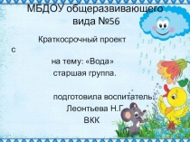 Краткосрочный проект: Водастаршая группа