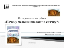 Исследовательская работа Почему медведи впадают в спячку?