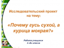 Презентация к проекту Почему гусь сухой, а курица мокрая?