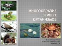Презентация по окружающему миру на тему:Многообразие живых организмов