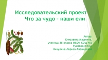 Презентация к исследовательскому проекту по окружающему миру на тему Что за чудо-наши ели!,выпоненная Елизаветой Машкиной,ученицей 3б класса. Руководитель: Никулина Л.А.