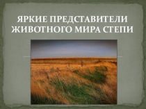 Презентация по окружающему миру Яркие представители животного мира степи