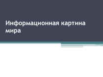 Информационная картина мира