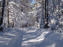 Интегрированное занятие во второй младшей группе ДОУ
