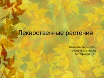 : Лекарственные растения