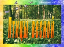 Птицы зимой классный час