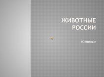 Презентация по домавоство на тему животные росси ( 6 класс)