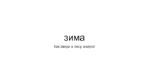 Презентация Как звери живут зимой