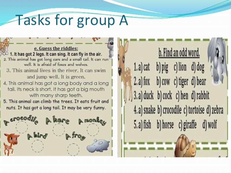 Презентация к открытому уроку в 8 классе на тему My favourite animal Tasks for group A Tasks for group A