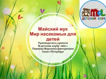 Майский жук. Мир насекомых для детей