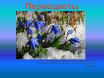 Презентация по окружающему миру