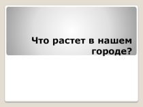 Что растёт в нашем городе?