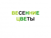 Урок - Презентация Весенние цветы