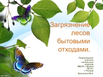Презентация по окружающему миру  Загрязнение лесов бытовыми отходами