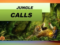 Презентация к уроку английского языка на тему Джунгли зовут