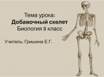 Презентация по биологии 8 класса на тему Добавочный скелет