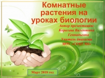 Презентация по биологии на тему Комнатные растения