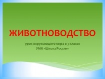 Презентация по окружающему миру Животноводство (3 касс)