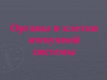 Презентация по биологии Что такое иммунная система?