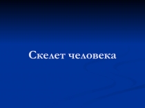 Презентация к уроку Скелет человека