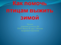 Презентация проекта Как помочь птицам выжить зимой
