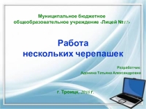 Презентация по информатике на тему Работа нескольких черепашек