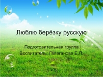 Презентация к занятию Люблю березку русскую