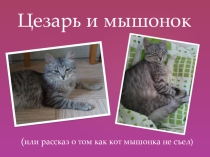 Презентация для детей Цезарь и мышонок