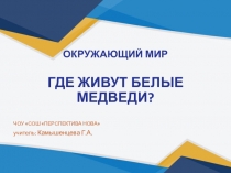 Презентация по окружающему миру Где живут белые медведи?
