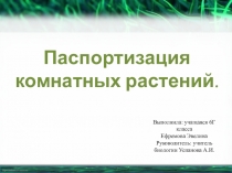 Презентация к исследовательской работе на тему: Паспортизация комнатных растений