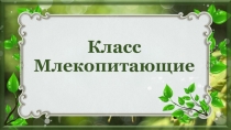 Презентация Особенности внешнего и внутреннего строения млекопитающих