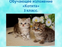 Презентация по русскому языку на тему Обучающее изложение Котята 3 класс.