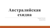 Презентация по географии Австралийская ехидна ученицы 7 Б класса Фаляховой Юлии