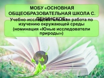 Презентация иследовательской работы Нужное из ненужного