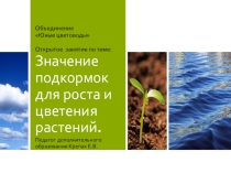 Значение подкормок для роста и цветения растений.