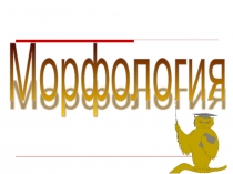 Презентация по русскому языку на тему Морфология
