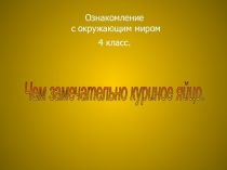 Презентация по теме чем замечательно куриной яйцо