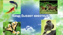 Презентация урока по окружающему миру Какие бывают животные 2 класс