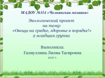 Экологический проект на тему: Овощи на грядке, здоровье в порядке!