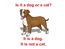 Презентация по английскому языку для закрепления правил построения альтернативных вопросов и ответов на них (2 класс).