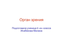 Презентация по биологии  Зрение 9 класс