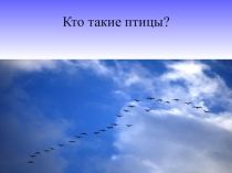 План урока и презентация урока по окружающему миру. Тема:Кто такие птицы?